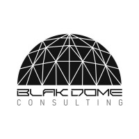 BlakDome, LLC logo - Similar company to Solve For X