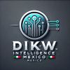 DIKW INTELLIGENCE MEXICO logo - Similar company to Alserest