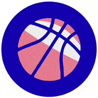 Basketrans Mbarete logo - Similar company to Rainbowdun Foundation