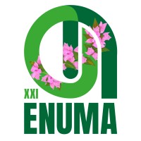 ENUMA XXI logo - Similar company to Enûma
