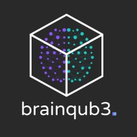 Brainqub3 logo - Similar company to Shotflow