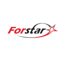 Forstar Insta Foods (A Div. Of Forstar Frozen Foods Pvt Ltd) logo - Similar company to Code One Solutions Private Limited