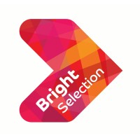 Bright Selection logo - Similar company to Zen Systems