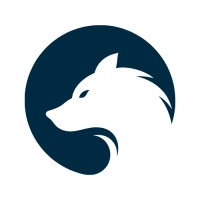DigiWolves logo - Similar company to Digiwolves Pvt Ltd.