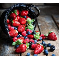 Berry Insights® logo - Similar company to Cedar Point Nursery