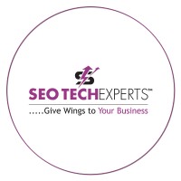 SEO Tech Experts Pvt Ltd - Top-Rated SEO Agency in India logo - Similar company to Seo Web Live
