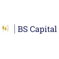 BS Capital BV logo - Similar company to Danubia Holdings