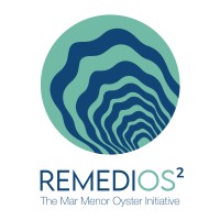 RemediOSProject logo - Similar company to Tettris