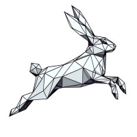 Leaping logo - Similar company to Sudocode