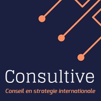 Consultive Mauritius logo - Similar company to 4F Investment Partners