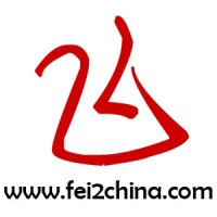 Fei Digital Marketing logo - Similar company to Aiyongtech