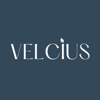 VELCIUS logo - Similar company to Gara