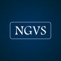 NGVS logo - Similar company to Rivet Communications