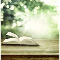 Mystery writer and freelance creative coach logo - Similar company to The Creative Writer'S Workshop