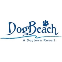DogBeach logo - Similar company to Bnb Guardians