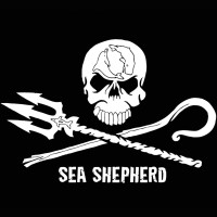 Sea Shepherd México logo - Similar company to Instituto Mexicano Para La Justicia A.C.