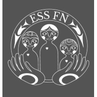 ESS For Nations logo - Similar company to Community Health And Social Innovation (Chasi) Hub