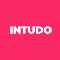 Intudo Consulting