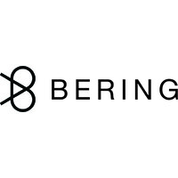 Bering Capital logo - Similar company to Thomas, Mcnerney & Partners