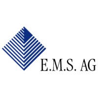 Engineering Management Selection E.M.S. AG logo - Similar company to Primesoft Ag