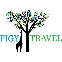 FIGY Travel logo - Similar company to Bellier Communication