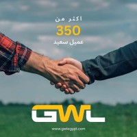 Golden Ways GW LLC logo - Similar company to Sonya Express, Inc