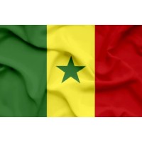 Communauté ISACA Dakar/Sénégal logo - Similar company to Hotel Pyramide Dakar