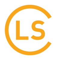 LS IT & Media GmbH & Co. KG logo - Similar company to Schmidt+Berner