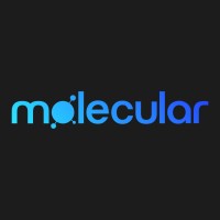 Molecular logo - Similar company to Molecular