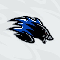 Saint John Sea Dogs logo - Similar company to Figrhed Creative