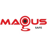 MAGUS CCTV logo - Similar company to Step In Security