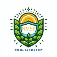 NMSE Verma Lab IIT Delhi logo - Similar company to Interact Lab