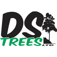 D S TREES