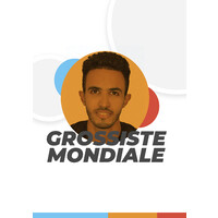 GROSSISTE MONDIALE logo - Similar company to Destockage Export