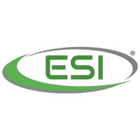 ESI (Energy System Integrator) SpA logo - Similar company to Innovatec Group