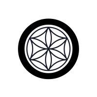 Romulus Venture Partners LLC logo - Similar company to Romulus