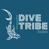 Dive Tribe - Dubai logo - Similar company to North Star Executive Search - A Hr Interface Group Company