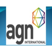 Mohamed Adel Nassef & Co. Certified Accountants &Consultants (Member firm of AGN International) logo - Similar company to Ipston & Co