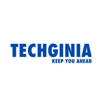 TECHGINIA logo - Similar company to Techginie