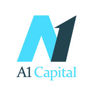 A1 Capital Yatırım Menkul Degerler A.S. logo - Similar company to Rta Laboratories