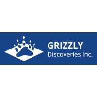 Grizzly Discoveries Inc. logo - Similar company to Lannister Mining