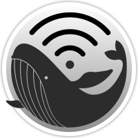 soundwhale logo - Similar company to Scorebird