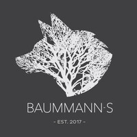 BAUMMANNS logo - Similar company to Elementi (Ocean Rock Eu)