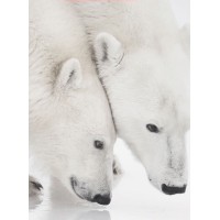 Top Climat Froid et Climatisation SA logo - Similar company to Frigotech Sa
