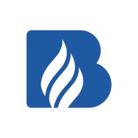 Beinat S.r.l. logo - Similar company to Visidea