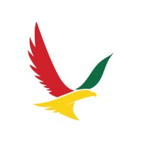 Global Ghana Airlines logo - Similar company to California Airlines, Inc.