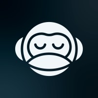 MonkStudio logo - Similar company to Scalehub