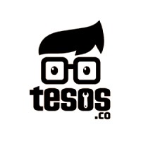 Tesos.co logo - Similar company to Matrix Evolution