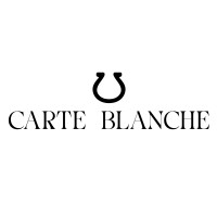 Carte Blanche Holding logo - Similar company to Iothings