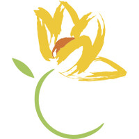 Blossom Bariatrics